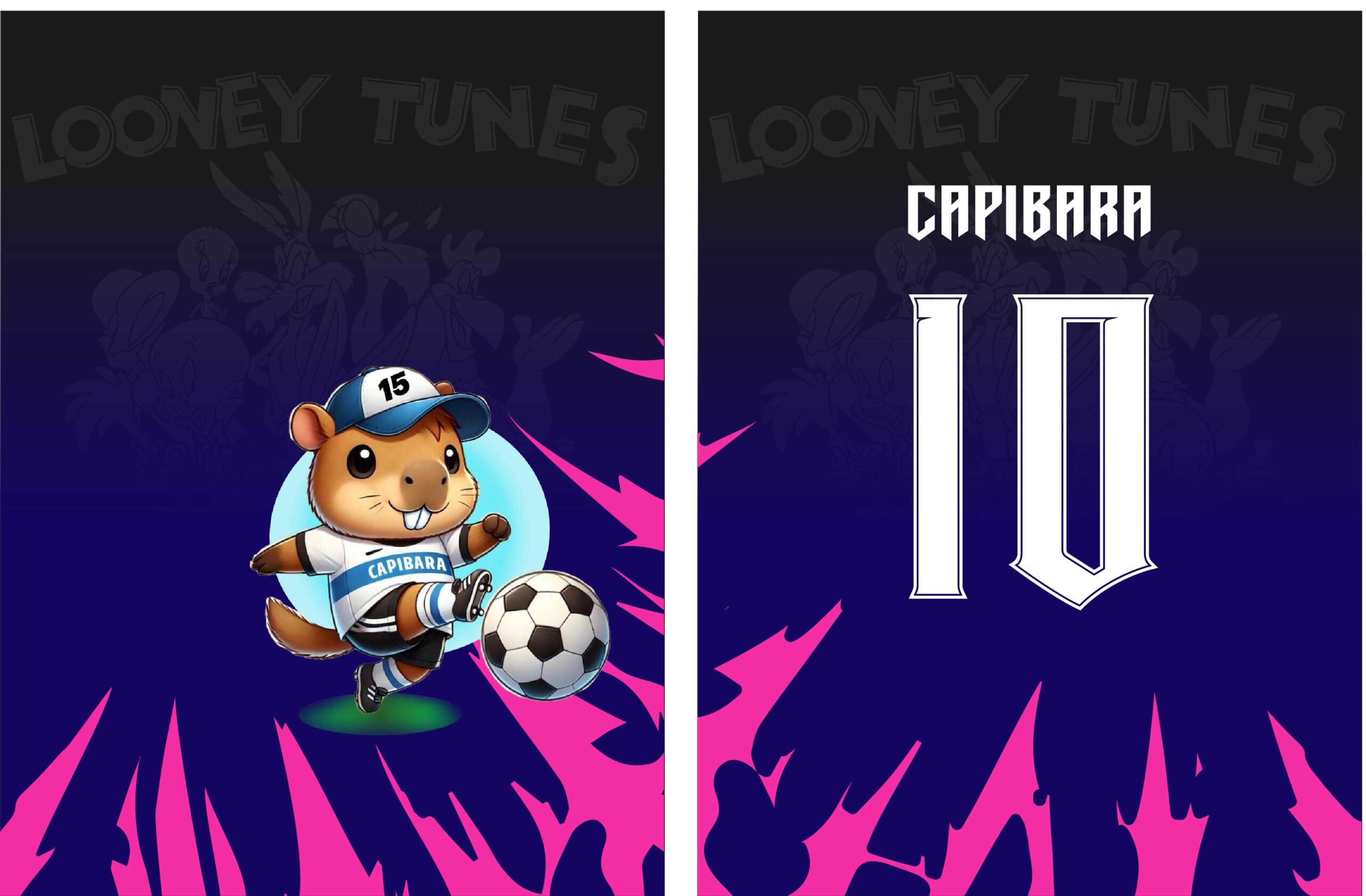 Capibara Sports Concept Designsi